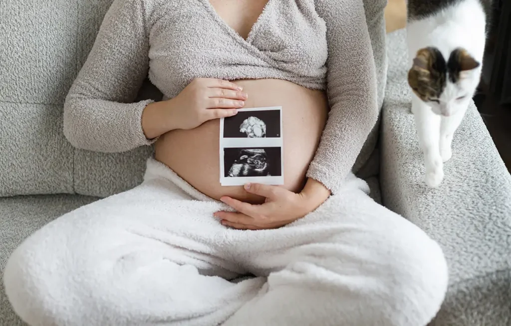 A genetikai ultrahang egy részletes, speciális szülészeti ultrahangvizsgálat. Nexstin Medical Centrum Szentendre