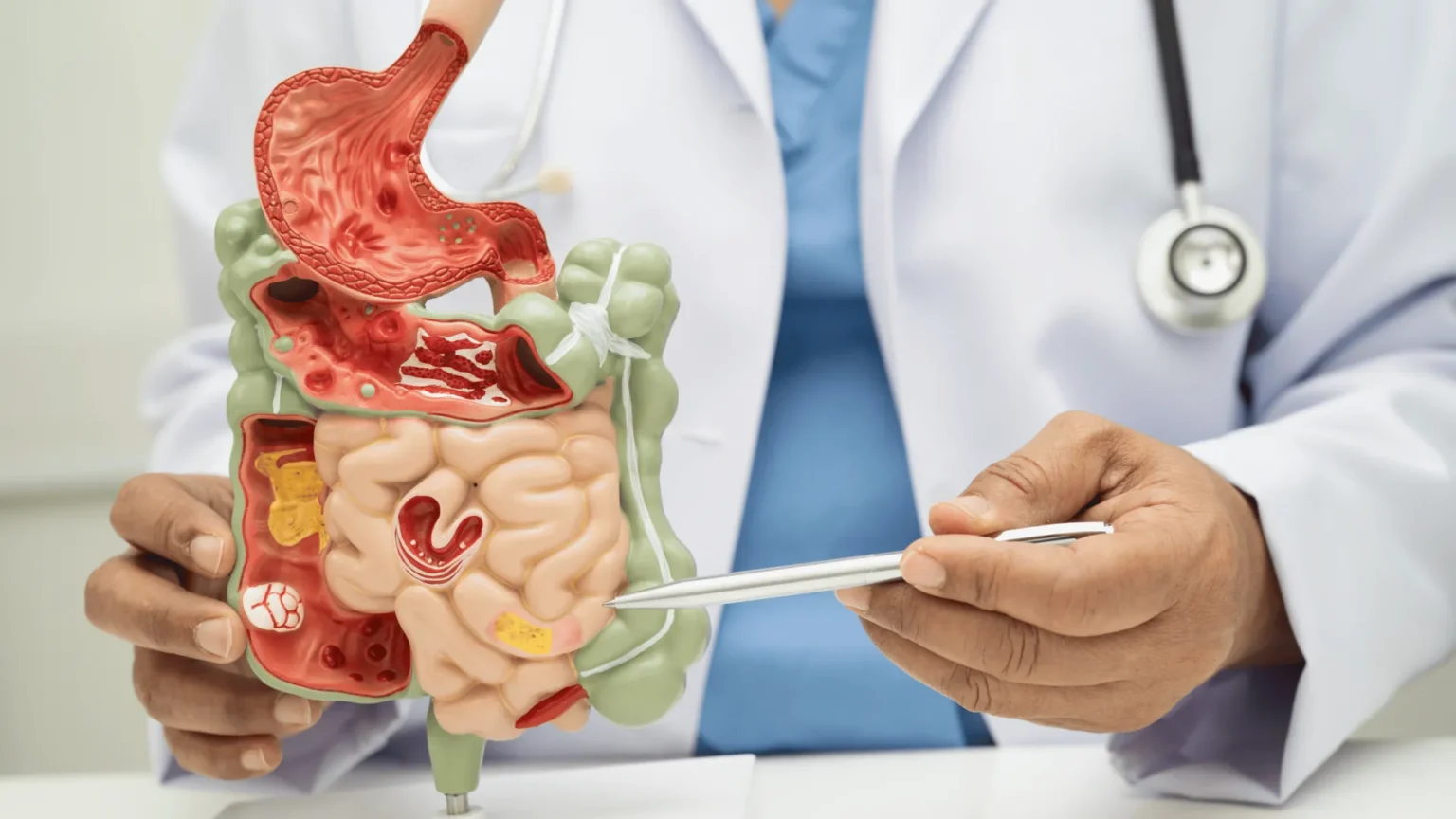 nexstin_gasztroenterologia_header